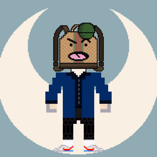 PXLBAGNER #1105