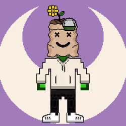PXLBAGNER #5962