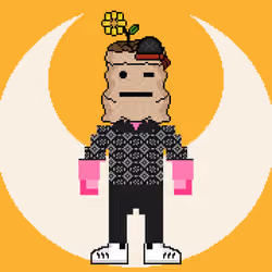 PXLBAGNER #5770