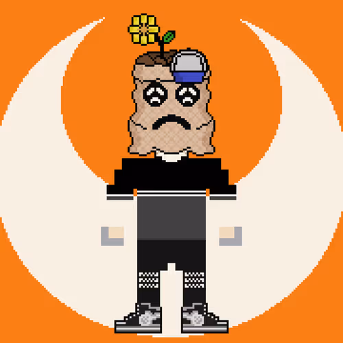 PXLBAGNER #2765
