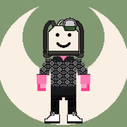 PXLBAGNER #5330