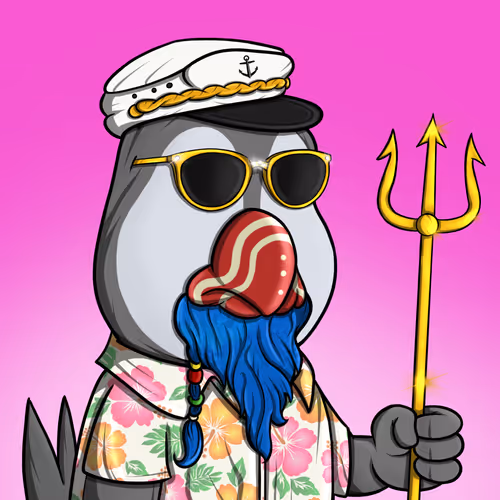 Puffinpirates