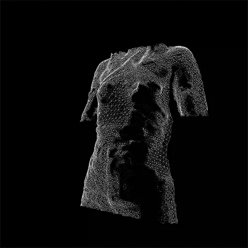 Luna_torso_B567