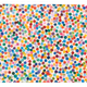 6082