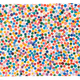 2505