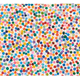 6005