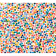 2626