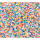 4281