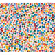 8504