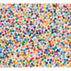 7040