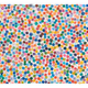 2443