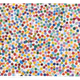 9005
