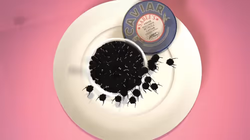 Item #50600020010 Media