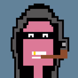 8Bit#5529