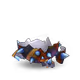 254