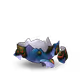 504
