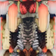 496000156