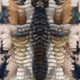 496000204