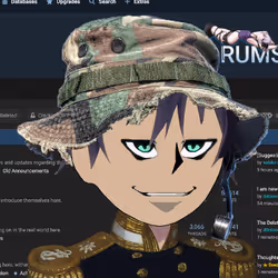 43