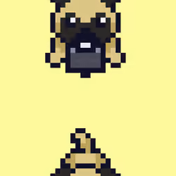 Dog #111