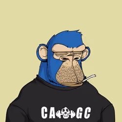 CAGC #6816