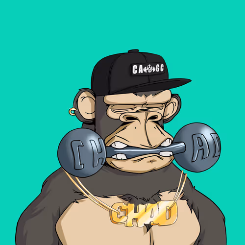 Chad Ape Gym Club