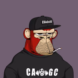 CAGC #6015