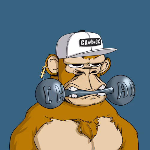Chad Ape Gym Club