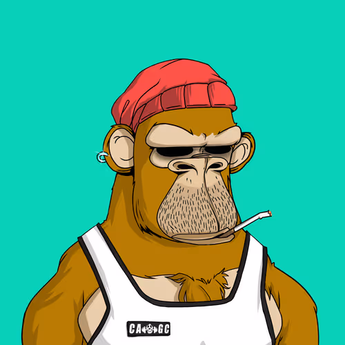 Chad Ape Gym Club