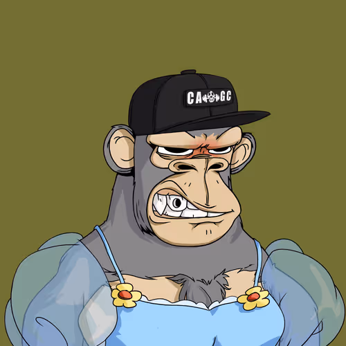 Chad Ape Gym Club