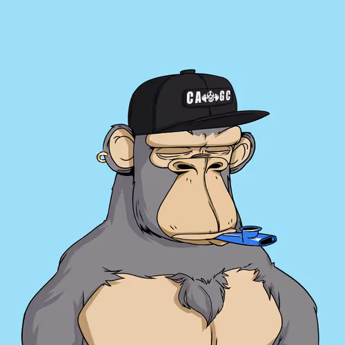 Chad Ape Gym Club