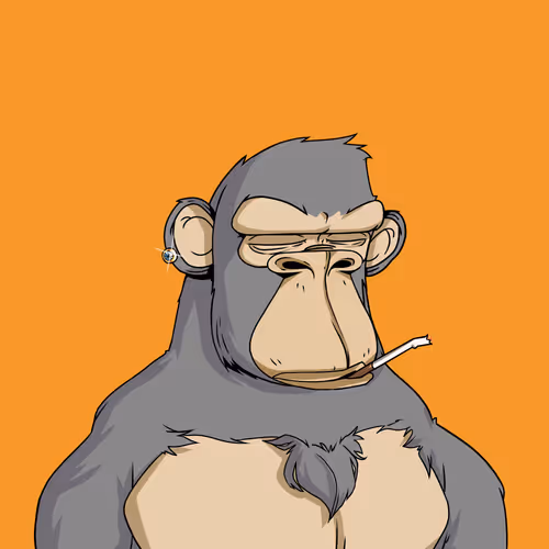 Chad Ape Gym Club