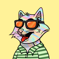 #203