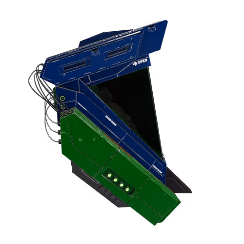 Amygdala 2