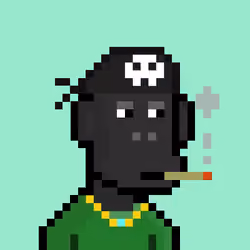 Ape #558