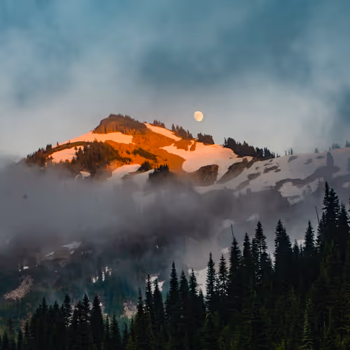 Stories From The PNW 1