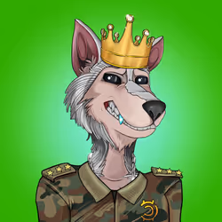 46