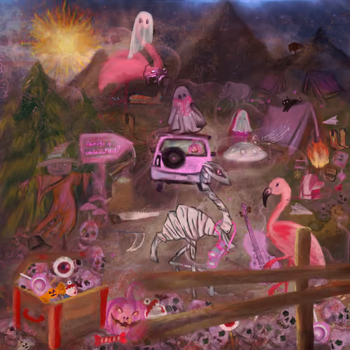 pink camera