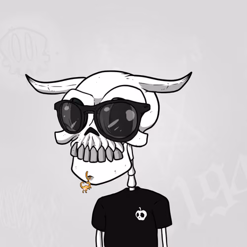 SkullKid #790
