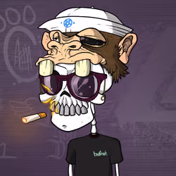 SkullKid #935