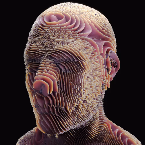 Known Origin