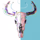 Cow skull