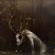 31058001