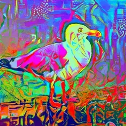 Trippy Seagull