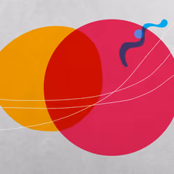 Ovulation #3