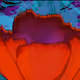 12040000