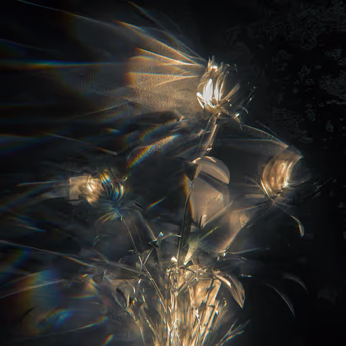 Blissful Caustic Portals to Luxurious Self-Annihilation 21