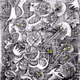 14206000