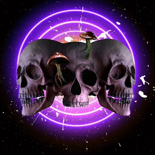 Item #16026004 Media