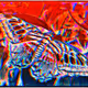 16452000